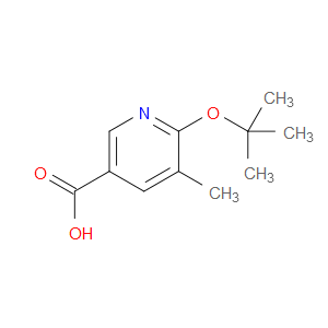 6-(1,1-Dimethylethoxy)-5-methyl-3-pyridinecarboxylic acid