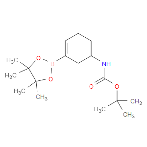 tert-Butyl 3-(4,4,5,5-tetramethyl-1,3,2-dioxaborolan-2-yl)cyclohex-3-enylcarbamate