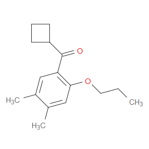 cyclobutyl(4,5-dimethyl-2-propoxyphenyl)methanone