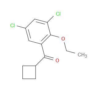 cyclobutyl(3,5-dichloro-2-ethoxyphenyl)methanone