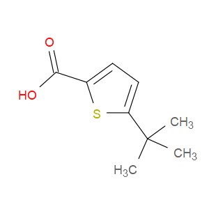 5-(tert-butyl)thiophene-2-carboxylic acid