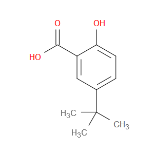 5-(tert-butyl)-2-hydroxybenzoic acid