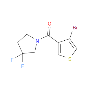 (4-Bromo-3-thienyl)(3,3-difluoro-1-pyrrolidinyl)methanone