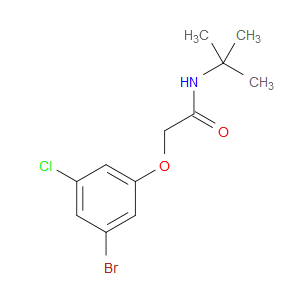 2-(3-Bromo-5-chlorophenoxy)-N-(1,1-dimethylethyl)acetamide