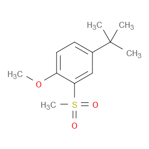 4-(tert-butyl)-1-methoxy-2-(methylsulfonyl)benzene