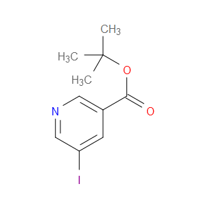 tert-butyl 5-iodonicotinate
