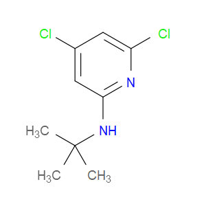 4,6-Dichloro-N-(1,1-dimethylethyl)-2-pyridinamine