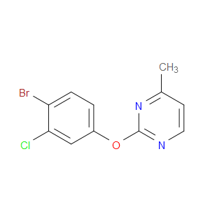 2-(4-Bromo-3-chlorophenoxy)-4-methylpyrimidine