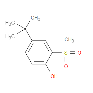 4-(tert-butyl)-2-(methylsulfonyl)phenol