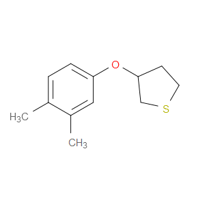 3-(3,4-Dimethylphenoxy)tetrahydrothiophene