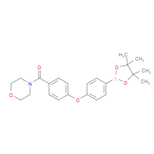 morpholino(4-(4-(4,4,5,5-tetramethyl-1,3,2-dioxaborolan-2-yl)phenoxy)phenyl)methanone