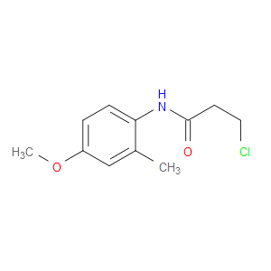 3-Chloro-N-(4-methoxy-2-methylphenyl)propanamide