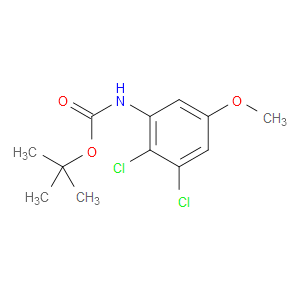 tert-butyl (2,3-dichloro-5-methoxyphenyl)carbamate