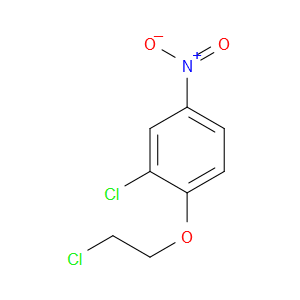 2-chloro-1-(2-chloroethoxy)-4-nitrobenzene