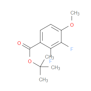 Tert-butyl 2,3-difluoro-4-methoxybenzoate