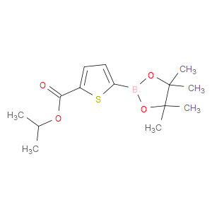 isopropyl 5-(4,4,5,5-tetramethyl-1,3,2-dioxaborolan-2-yl)thiophene-2-carboxylate
