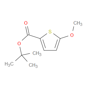 tert-butyl 5-methoxythiophene-2-carboxylate