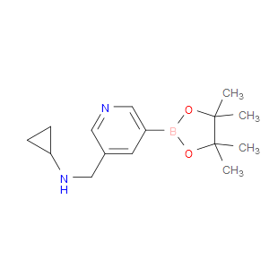N-((5-(4,4,5,5-tetramethyl-1,3,2-dioxaborolan-2-yl)pyridin-3-yl)methyl)cyclopropanamine