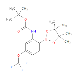 tert-butyl (2-(4,4,5,5-tetramethyl-1,3,2-dioxaborolan-2-yl)-5-(trifluoromethoxy)phenyl)carbamate