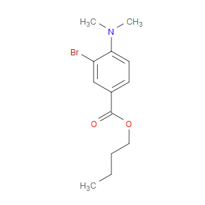Butyl 3-bromo-4-(dimethylamino)benzoate
