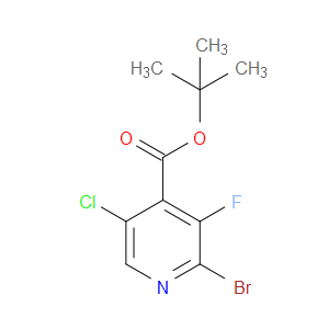 tert-butyl 2-bromo-5-chloro-3-fluoroisonicotinate