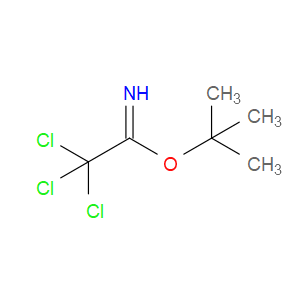 tert-butyl 2,2,2-trichloroacetimidate