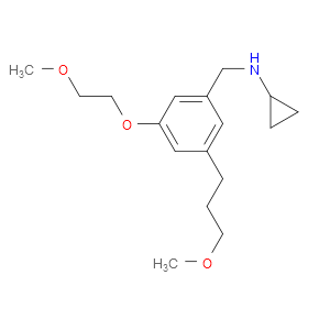 N-Cyclopropyl-3-(2-methoxyethoxy)-5-(3-methoxypropyl)benzenemethanamine