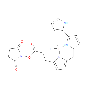 Py-BODIPY-NHS ester