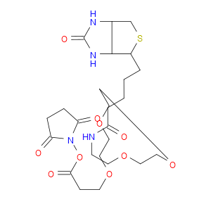 NHS-dPEG®4-biotin