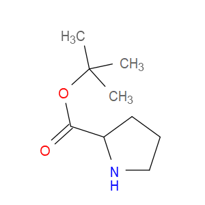 (R)-tert-Butyl pyrrolidine-2-carboxylate