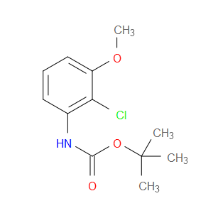 tert-butyl (2-chloro-3-methoxyphenyl)carbamate