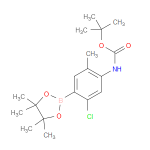 tert-butyl (5-chloro-2-methyl-4-(4,4,5,5-tetramethyl-1,3,2-dioxaborolan-2-yl)phenyl)carbamate