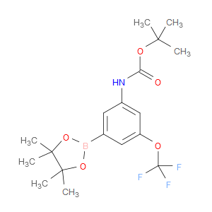 tert-butyl (3-(4,4,5,5-tetramethyl-1,3,2-dioxaborolan-2-yl)-5-(trifluoromethoxy)phenyl)carbamate
