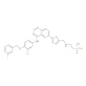 Lapatinib