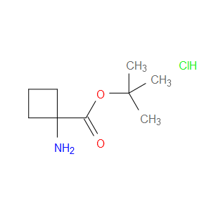 tert-butyl 1-aminocyclobutanecarboxylate hydrochloride