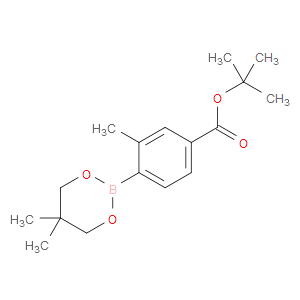 tert-butyl 4-(5,5-dimethyl-1,3,2-dioxaborinan-2-yl)-3-methylbenzoate