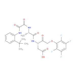 IDN 6556
