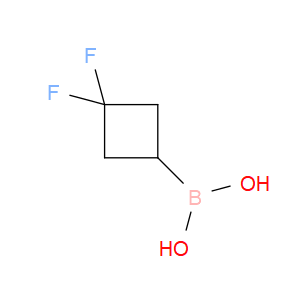 B-(3,3-Difluorocyclobutyl)boronic acid