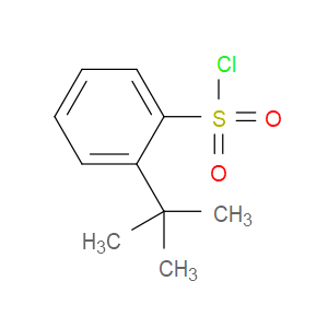 2-(tert-butyl)benzene-1-sulfonyl chloride