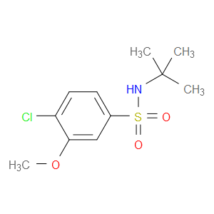 4-Chloro-N-(1,1-dimethylethyl)-3-methoxybenzenesulfonamide