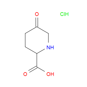 5-oxopiperidine-2-carboxylic acid hydrochloride