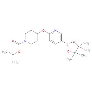 isopropyl 4-((5-(4,4,5,5-tetramethyl-1,3,2-dioxaborolan-2-yl)pyridin-2-yl)oxy)piperidine-1-carboxylate