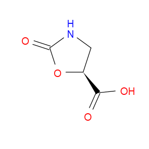 5-Oxazolidinecarboxylic acid, 2-oxo-, (S)-