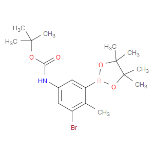 tert-butyl (3-bromo-4-methyl-5-(4,4,5,5-tetramethyl-1,3,2-dioxaborolan-2-yl)phenyl)carbamate